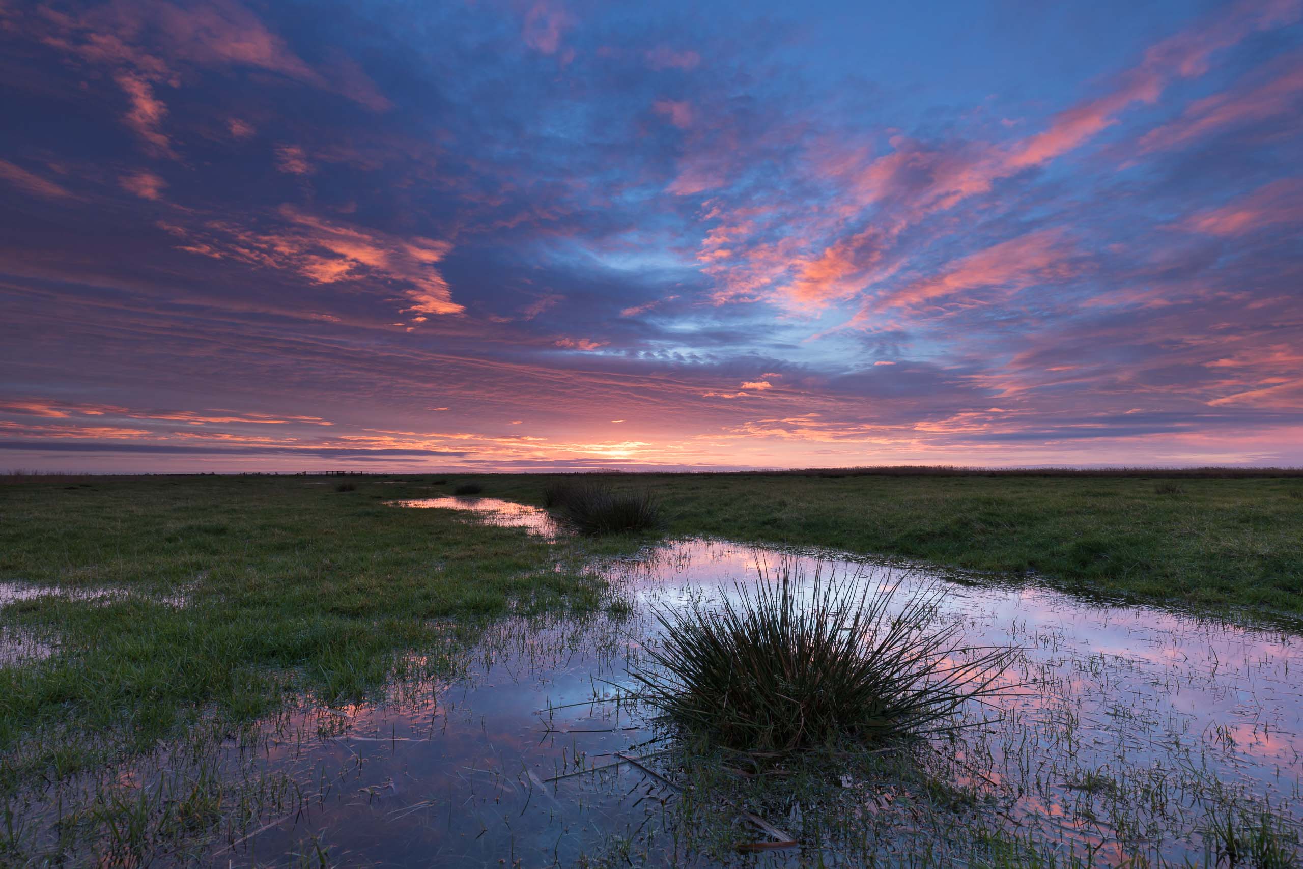 Sunrise, Halvergate Marsh