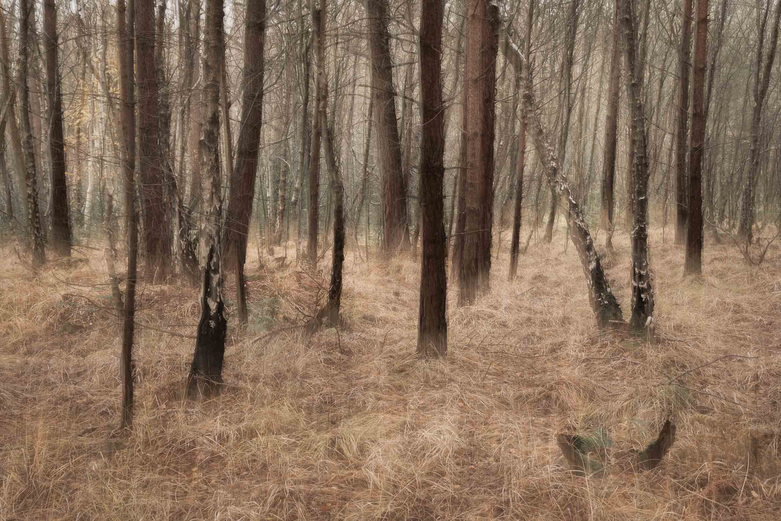 Horsford, multi-exposure