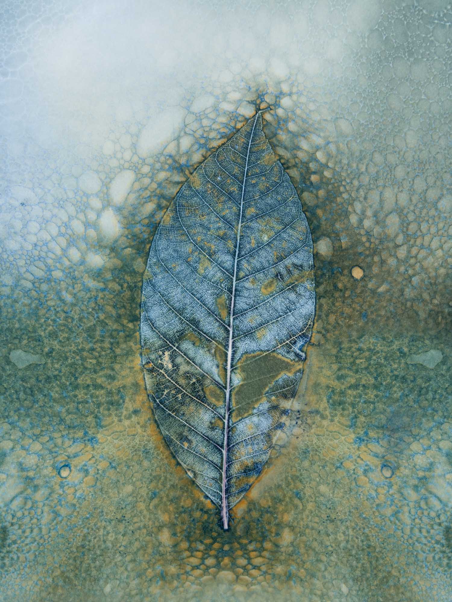 20230528 6R5A8696 Edit Edit